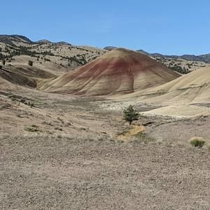 Meet your Posher, Ida may